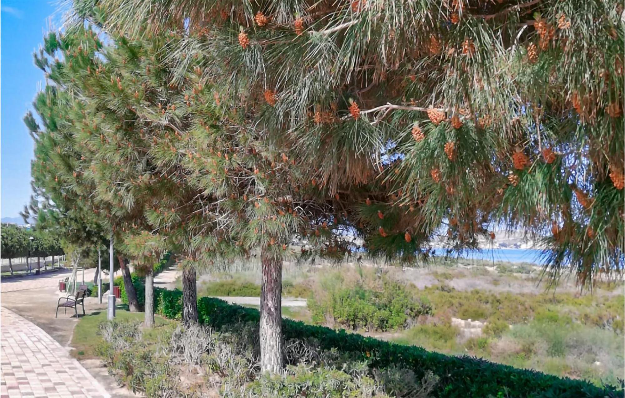 Amazing Apartment In San Juan De Los Terrer San Juan de los Terreros 외부 사진